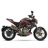 موتور زونتس Z4r 250