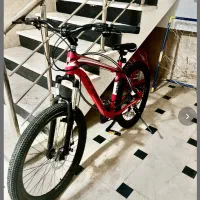 دوچرخه فونیکس