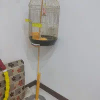 سه عدد لوستر سقفی|لوستر و چراغ آویز|خرم‌آباد, |دیوار