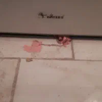 فر برقی تو کار داتیس|اجاق گاز و لوازم برقی پختوپز|قزوین, |دیوار