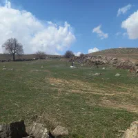 نظافت‌راه‌پله ساختمان‌انجام‌میدم قیمت‌مناسب