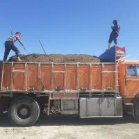 کود حیوانی تمیز و درجه یک