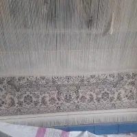 دار قالی ۱۲تای|ابزارآلات|هرند, |دیوار