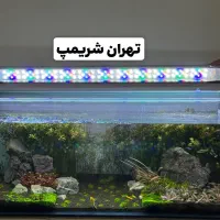 نور مخصوص پلنت|ماهی|بهبهان, |دیوار