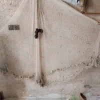 تور ماهیگیری
