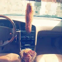 پژو ۴۰۵ دوگانه کارخانه|خودرو سواری و وانت|ایرانشهر, |دیوار