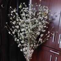 درختچه تزئینی با شکوفه های سفید