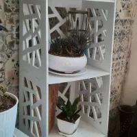 استند زیبا و محکم|کتابخانه، شلف، قفسههای دیواری|اراک, |دیوار