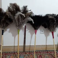 تخم شترمرغ دکوری|صنایع دستی و سایر لوازم تزئینی|ساری, |دیوار