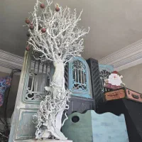 دکور و تجهیزات اتلیه