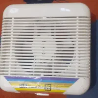 وسایل منزل|فرش|شوشتر, |دیوار