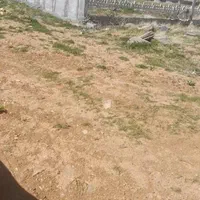 زمین باغی چشمه پهن گلشن اباد