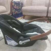 کریر نوزادی