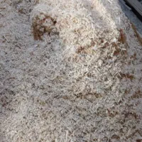 فروش پوشال و خاک اره|عمدهفروشی|قائمشهر, |دیوار