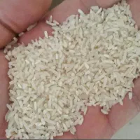 برنج ایرانی خرید مستقیم از برنجکار|خوردنی و آشامیدنی|بوشهر, |دیوار