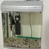 آکواریوم برند ماهیران