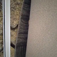 موکت سالم ارزان