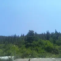 کارگر مرغداری رستم آباد