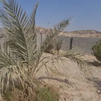 فروش-خانه-باغ-500-متری-در-جم-ورودی-جم