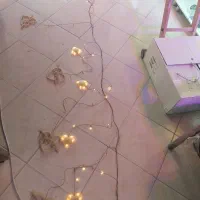 ریسه قلب لایو برنامه دار