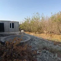 باغ نقلی چهار دیواری دیواربالای 5سال