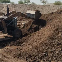 فروش کود گاوی