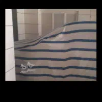 راننده در اختیار