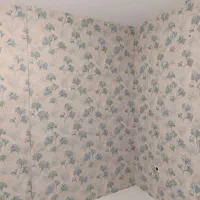 نصاب کاغذ دیواری ونقاشی ساختمان|خدمات پیشه و مهارت|اسلام‌شهر, زرافشان|دیوار