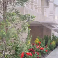 ابتدای گویا ۲۵۰ متر|فروش خانه و ویلا|مشهد, ملک‌آباد|دیوار
