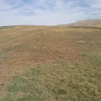 فروش فوری زمین کشاورزی