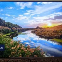 تلویزیون ایکس ویژن 43 اینچ