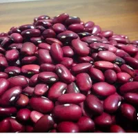 لوبیا قرمز پخت ووپز