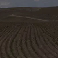 فروش زمین کشاورزی در منطقه گلخانه ای|فروش زمین و ملک کلنگی|تیران, |دیوار