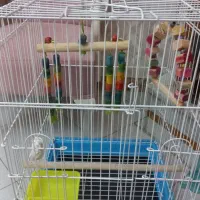 ۱۰۳۳  کف ابی سری قدیمی نونونونو مقطوع