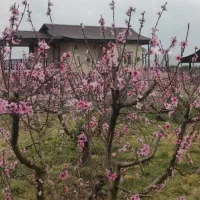 شهرک-سرمایه-گذاری