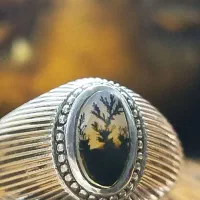 کوچکترین وجذاب ترین شجر دنیا