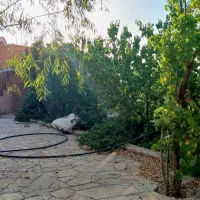اجاره روزانه سوئیت در روستای وشنوه