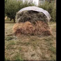 گزره