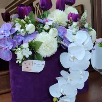 گل مصنوعی زیبا|گل مصنوعی|مشهد, نظام دوست|دیوار