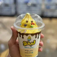 انواع بستنی فله و بسته بندی