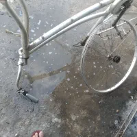 تنه دوچرخه جاپونی ورینگ|دوچرخه، اسکیت، اسکوتر|چمران, |دیوار