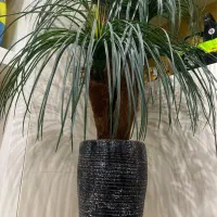 گیاه سبز مصنوعی با گلدان