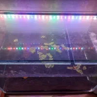 واتر پمپ نور آکواریوم مخصوص ماهی