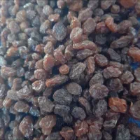 همدان کشمش امسالی  پاک شده