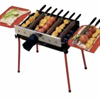 کباب پز دوگانه سوز پلین