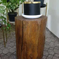 تنه چوب مناسب نشستن یا جای گلدون