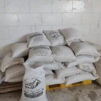 خوراک دام|لوازم جانبی حیوانات|الیگودرز, |دیوار