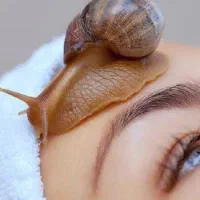 حلزون درمانی