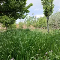 به آباد نرسیده به گلبهار 1000 متر دور دیوار سند