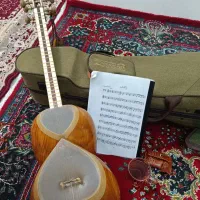 تار ویژه حمیدی